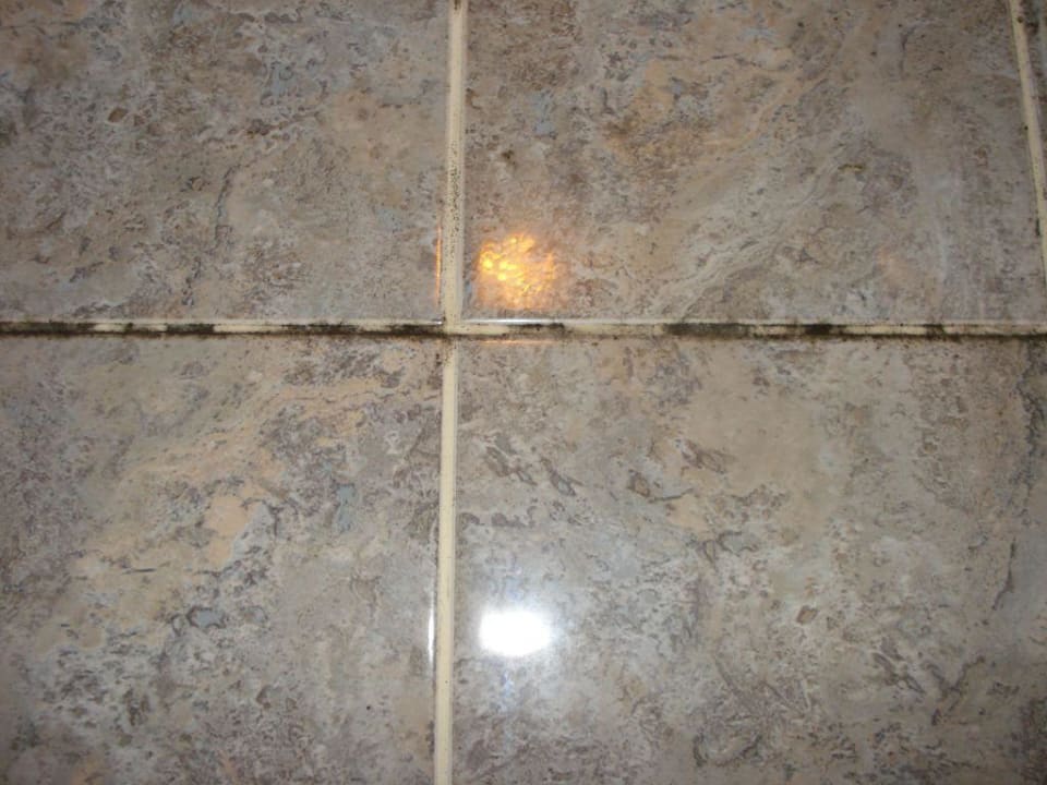 Schimmel im Bad Hotel de France