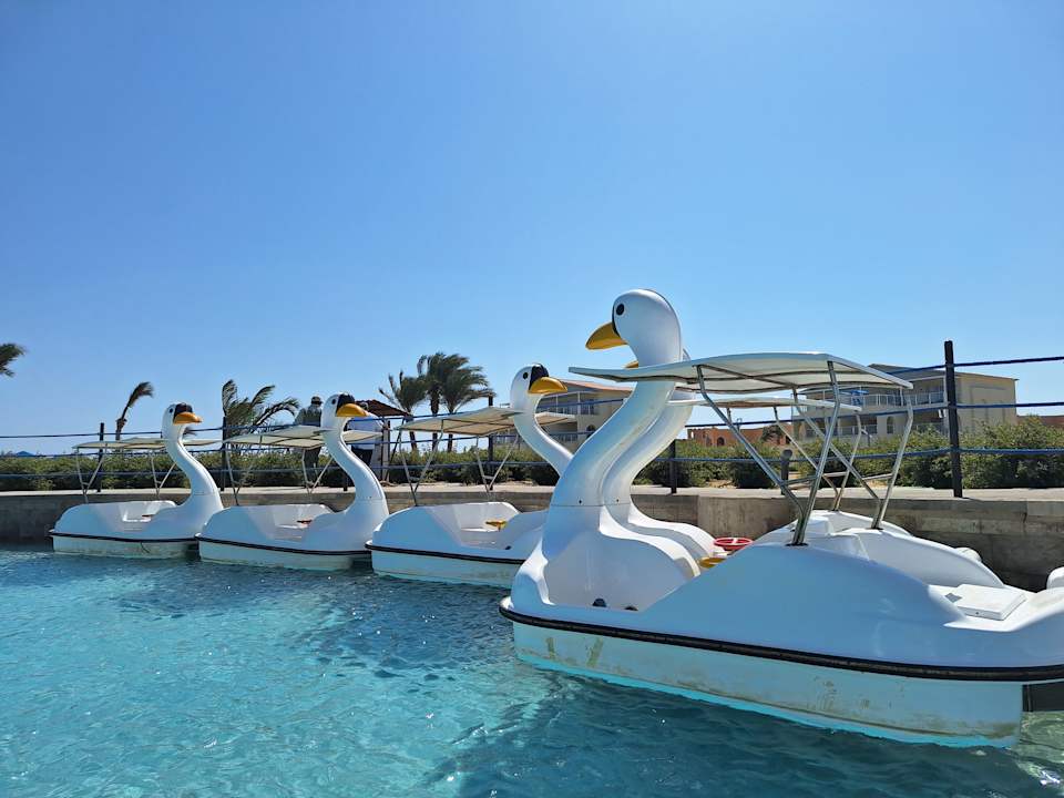 Pool Albatros Makadi Resort