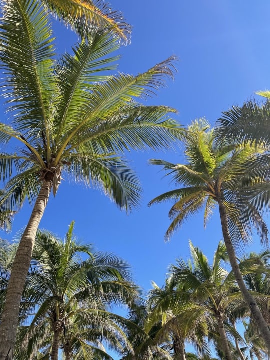 Strand Hotel Riu Playacar