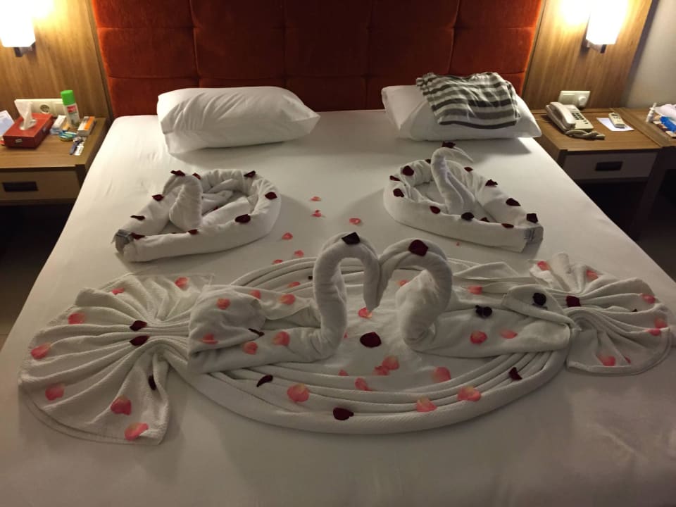 Flitterwochen Überraschung  TUI BLUE Palm Garden