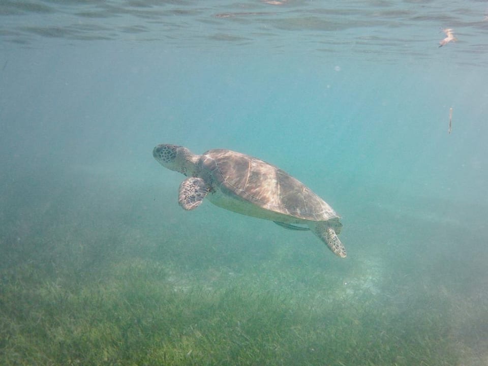 Strand Akumal Bay Beach & Wellness Resort