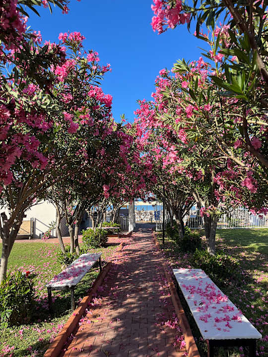 Gartenanlage Seher Kumköy Star Resort & Spa