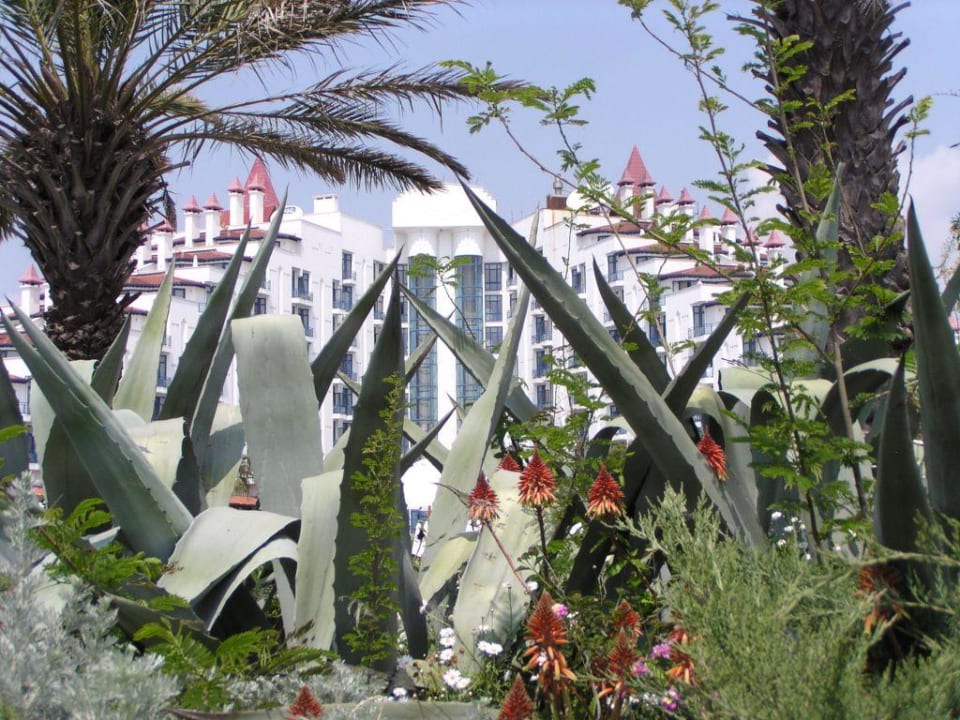 gepflegte Gartenanlage Green Max Hotel