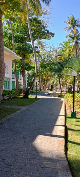 Gartenanlage Playabachata Hotel