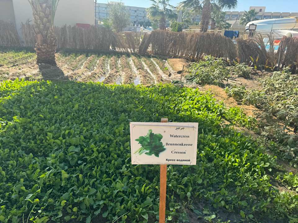 Gartenanlage Seven Seas Jolie Bay Resort