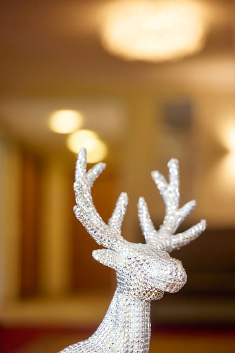 Sonstiges Hubertus Hotel & Apartments