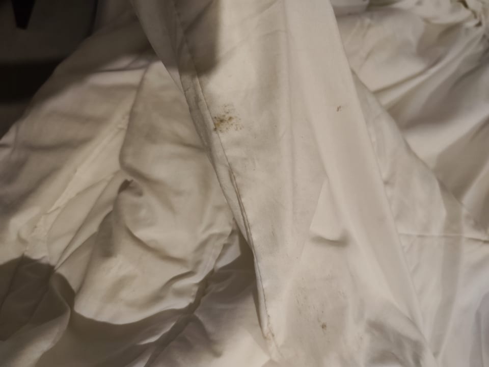 Zimmer Hotel Southern Palms Beach Resort