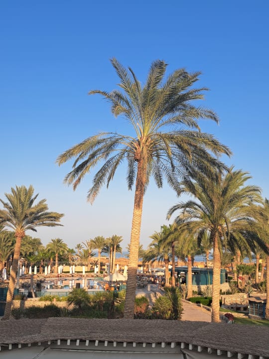 Außenansicht Club Paradisio El Gouna, Red Sea