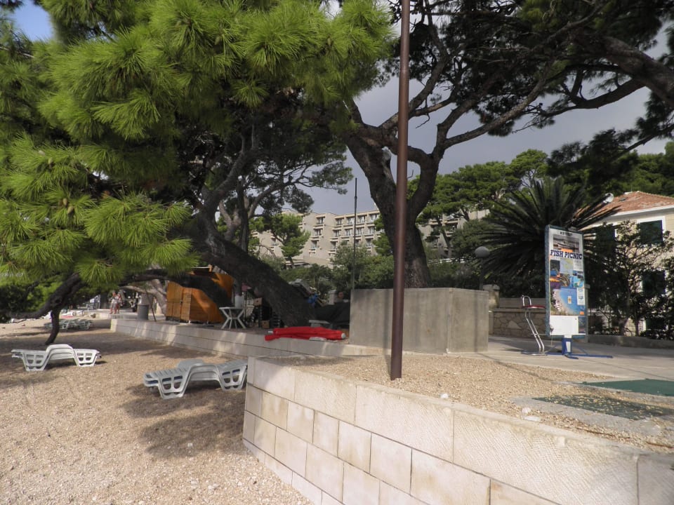 Zwischen den Bäumen Soline Bluesun Hotel Soline