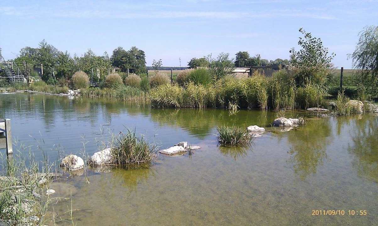 Schwimmteich - Sonnenoase Hotel Sonnenhof