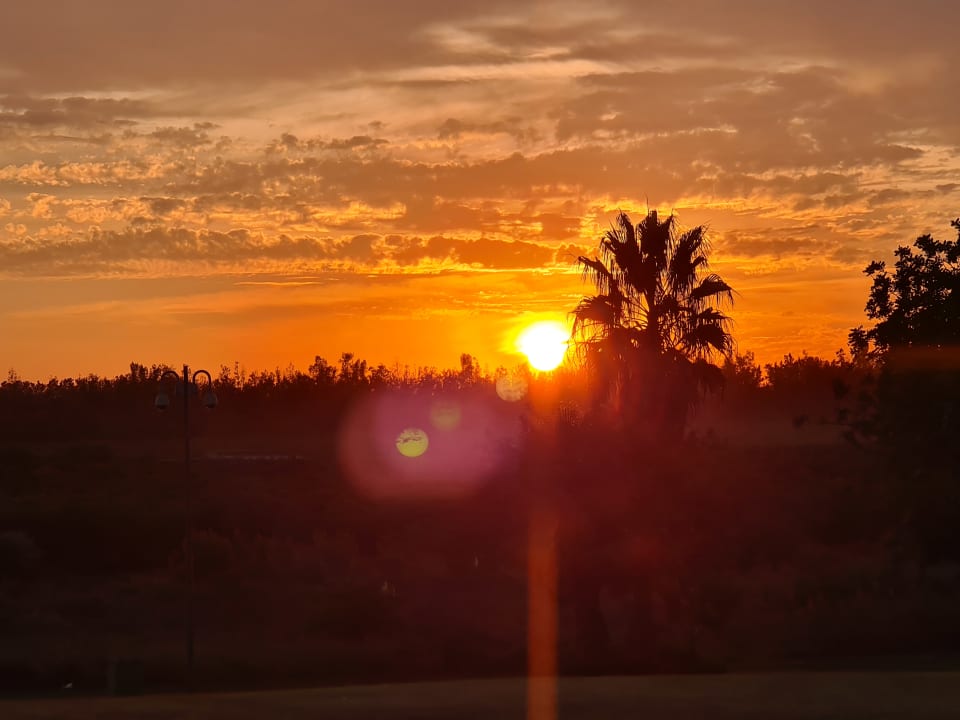 Ausblick ROBINSON QUINTA DA RIA