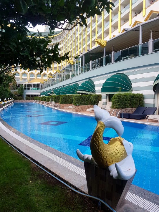 Pool Hotel Delphin Imperial