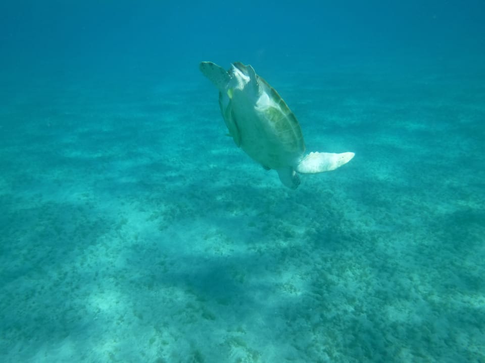 Sport & Freizeit Three Corners Sea Beach Resort