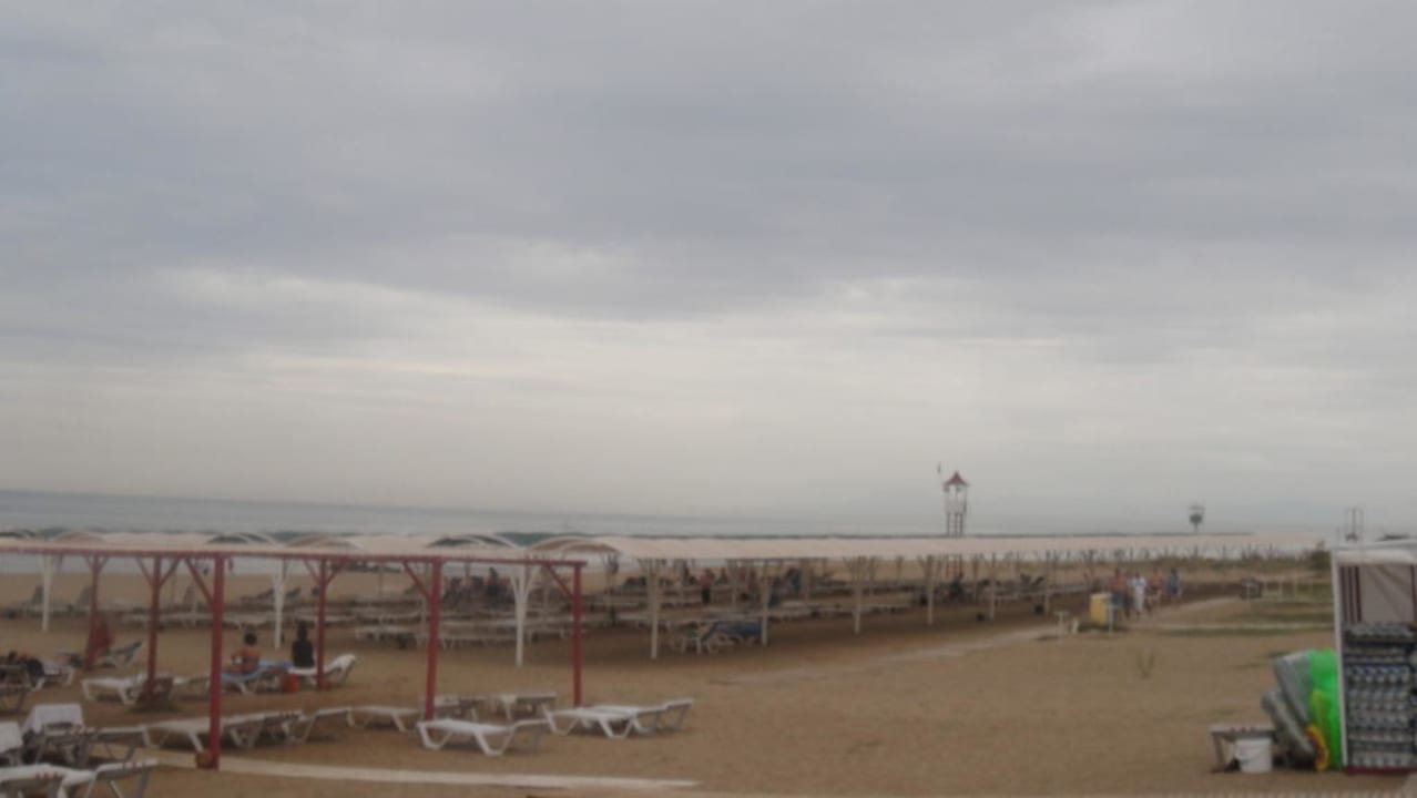 Strand (leider etwas bewölkt, aber trotzdem warm) Hotel Orfeus Park