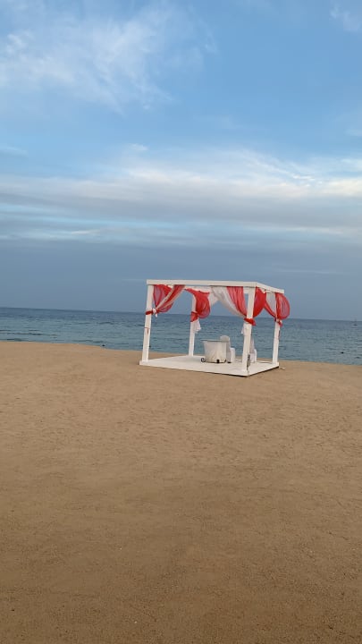 Strand Pickalbatros Palace Hotel-Port Ghalib