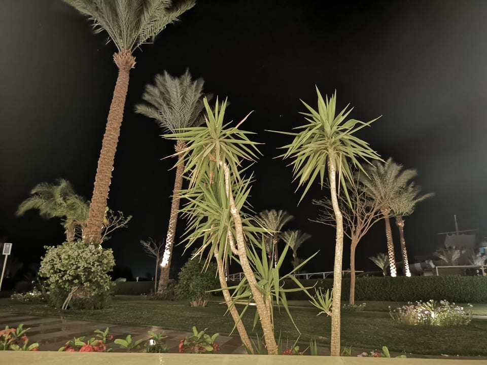 Gartenanlage Jaz Aquaviva