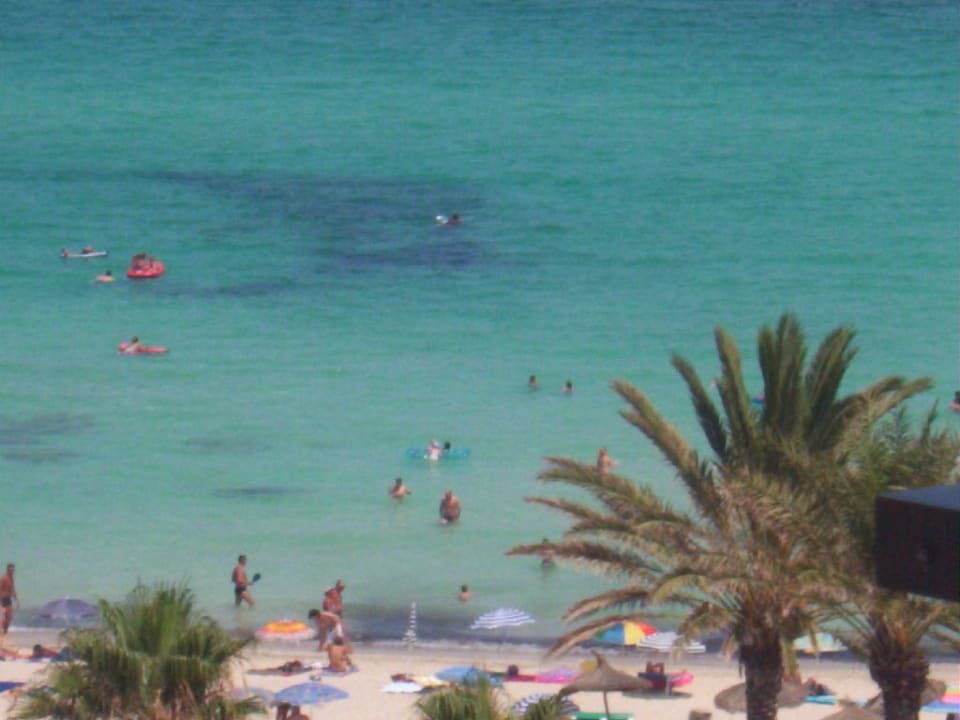 Blick aus dem Zimmer CM Playa del Moro