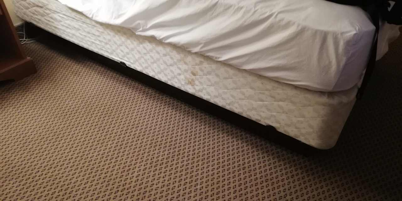 Zimmer Best Western Rutgers University Hotel