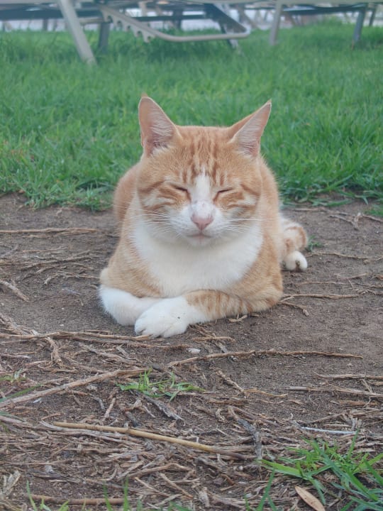 Sonstiges Atlantica Aegean Blue