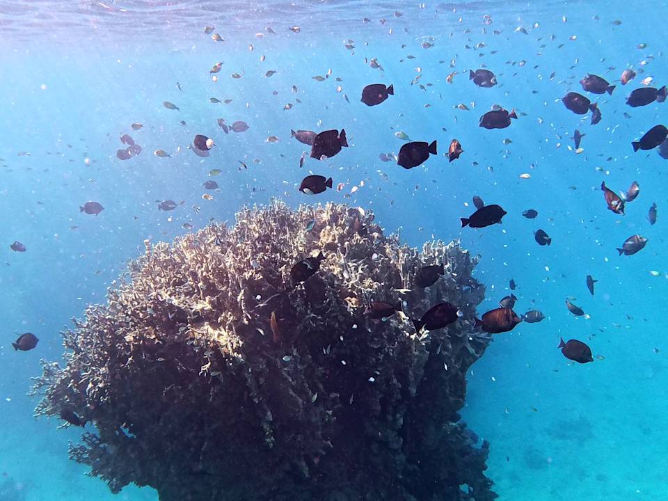 Sonstiges Utopia Beach Club