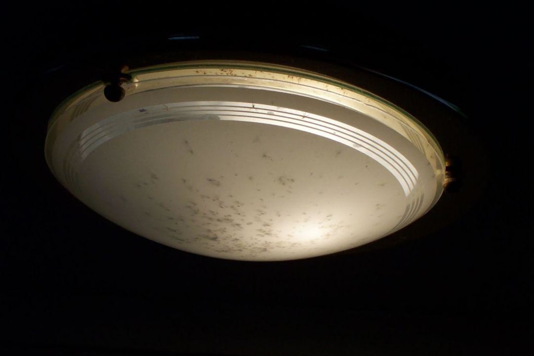 Im Wohnraum Het Grootslag Vakantiepark