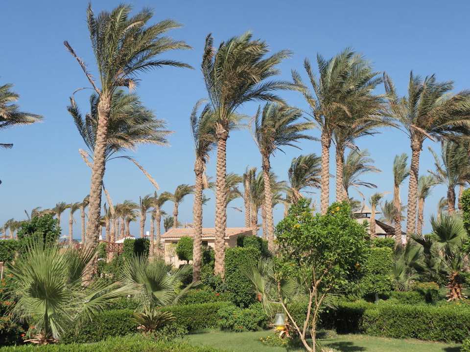 Ogród Riviera Aqua Park Resort