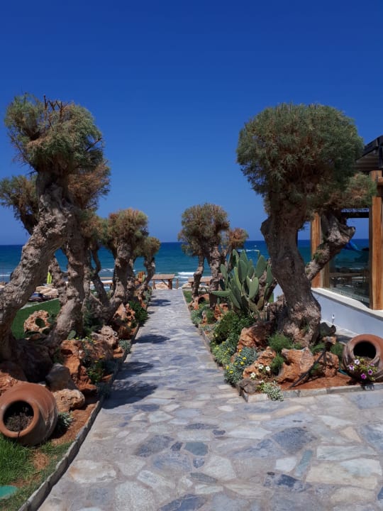 Strand Mitsis Rinela