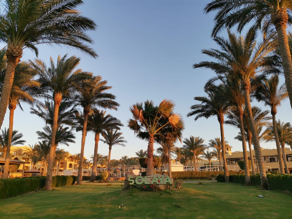 Gartenanlage Jaz Solaya