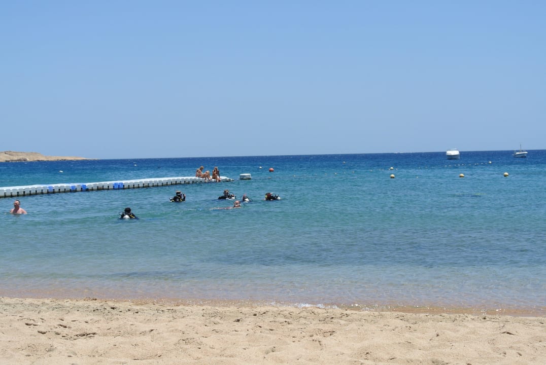 Море и вид на пляж Ghazala Beach