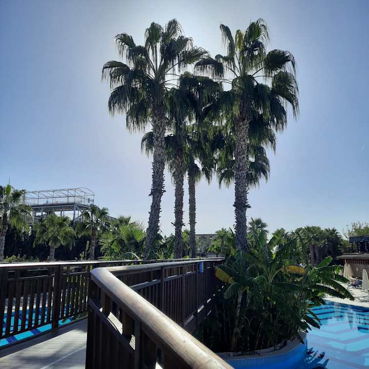 Gartenanlage Saturn Palace Resort Hotel