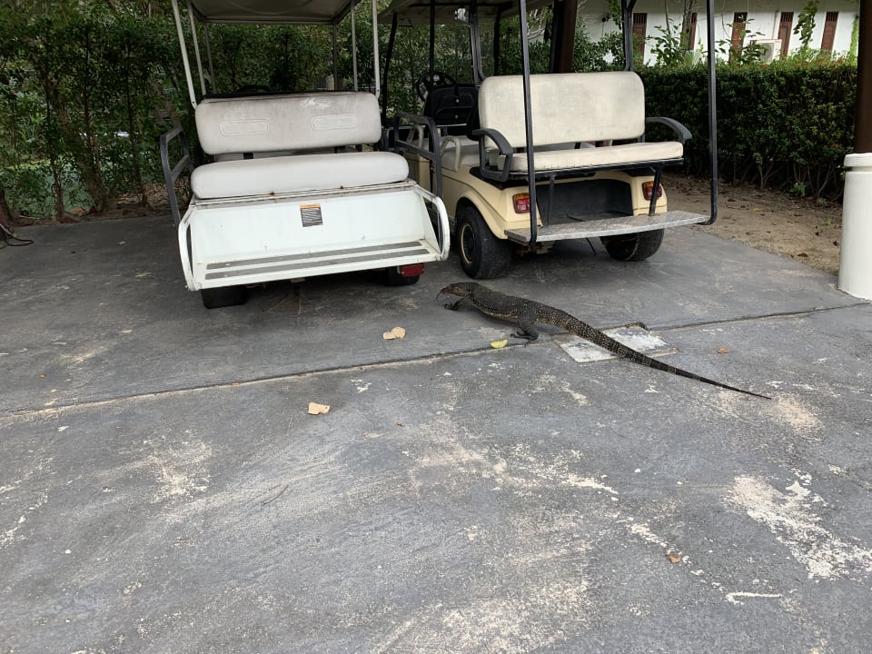 Gartenanlage Twin Lotus Resort and Spa (Adult Only / November to April)