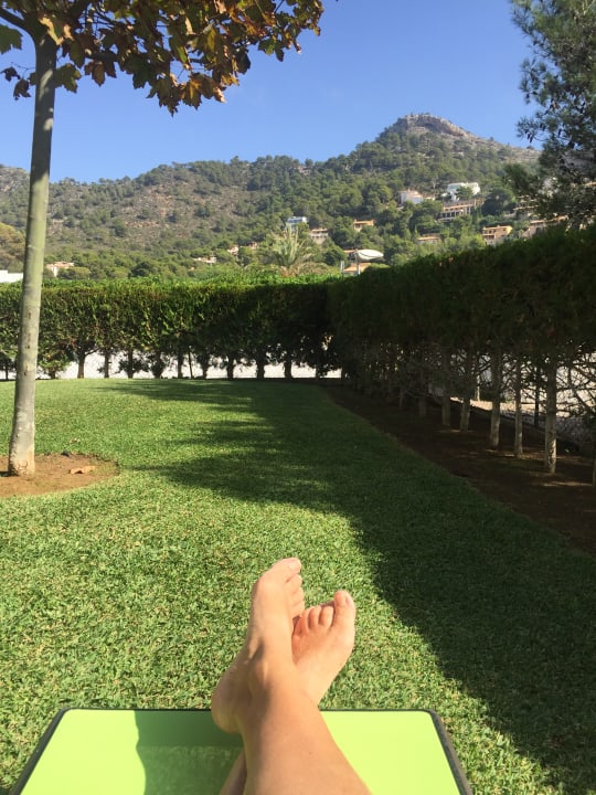 Gartenanlage Universal Hotel Laguna