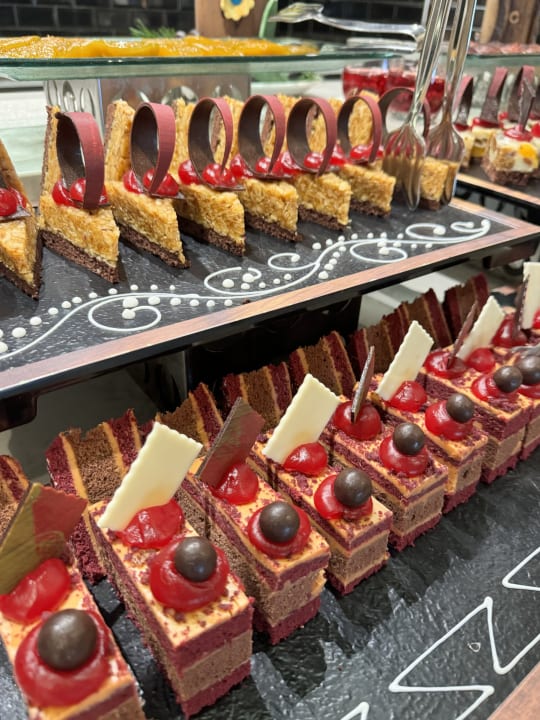 Gastro PALOMA Perissia