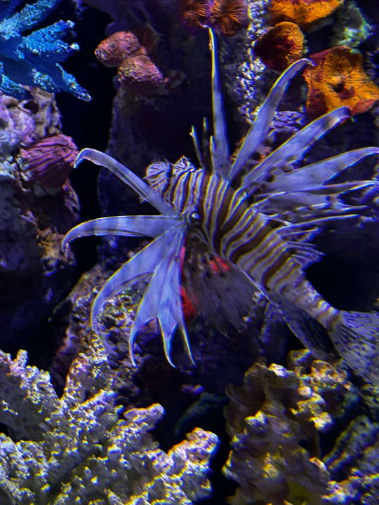 Sport & Freizeit Kustur Club Holiday Village