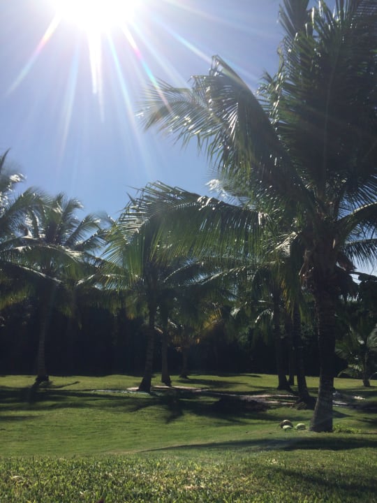 Gartenanlage TRS Yucatan Hotel - Adults only