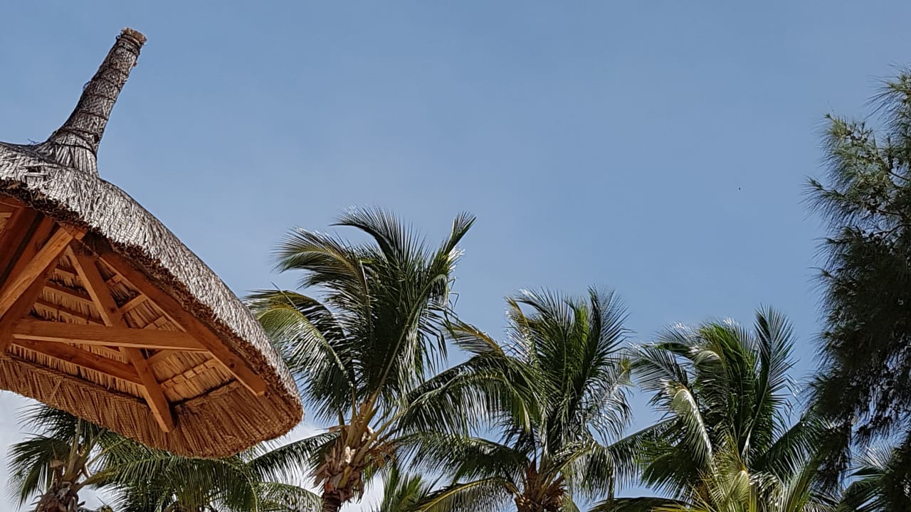 Von der Liege aus Lagoon Attitude - Adults only