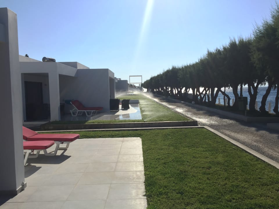 Gartenanlage Dimitra Beach Hotel & Suites