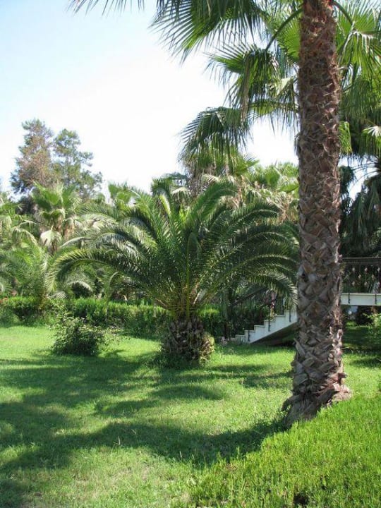 Hotelanlage Ali Bey Club