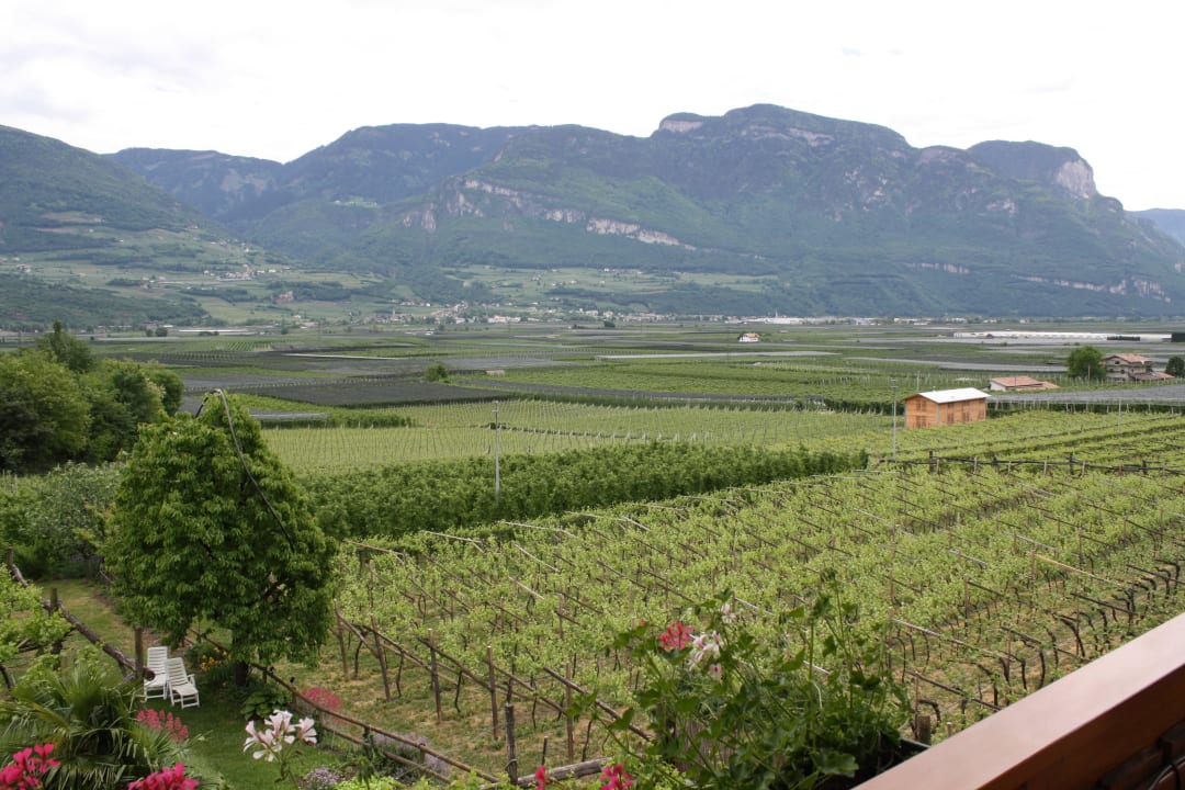 Blick ins Etschtal Garni Sandhof