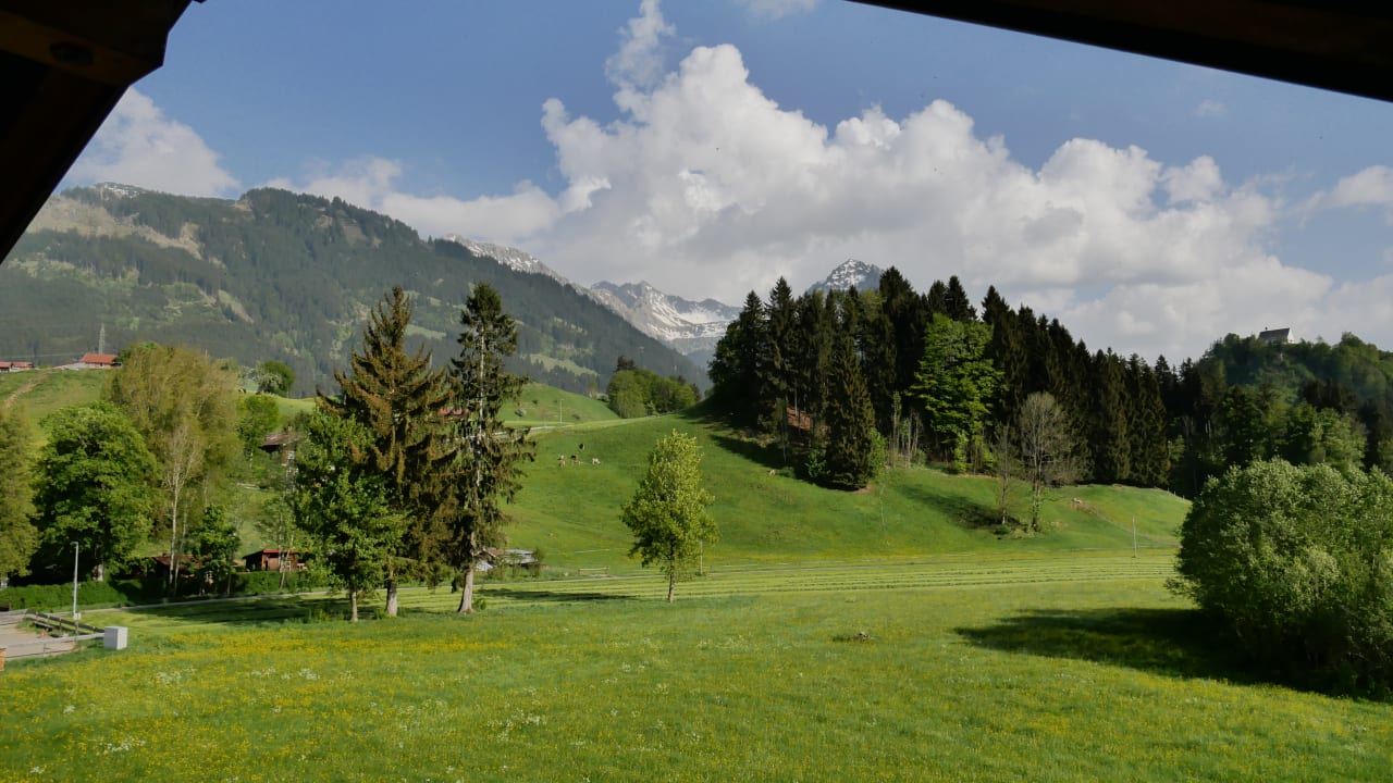 Ausblick Goldvogel Apartments