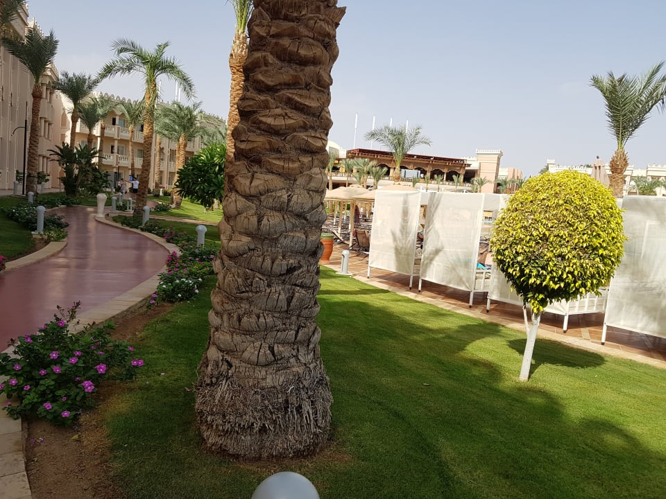 Gartenanlage Pickalbatros Palace Resort