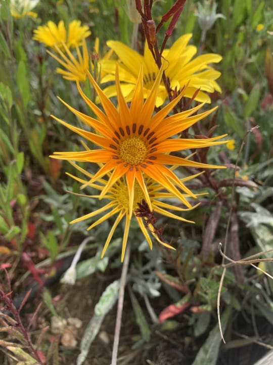 Gartenanlage Anemos Luxury Grand Resort