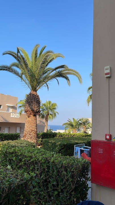 Gartenanlage Grand Hotel Holiday Resort