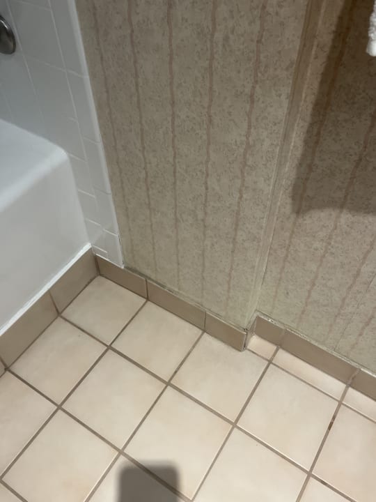 Zimmer Hollywood Hotel - The Hotel of Hollywood