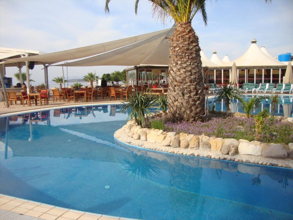 Bar an der Poolanlage Very Chic Bodrum Adult Only