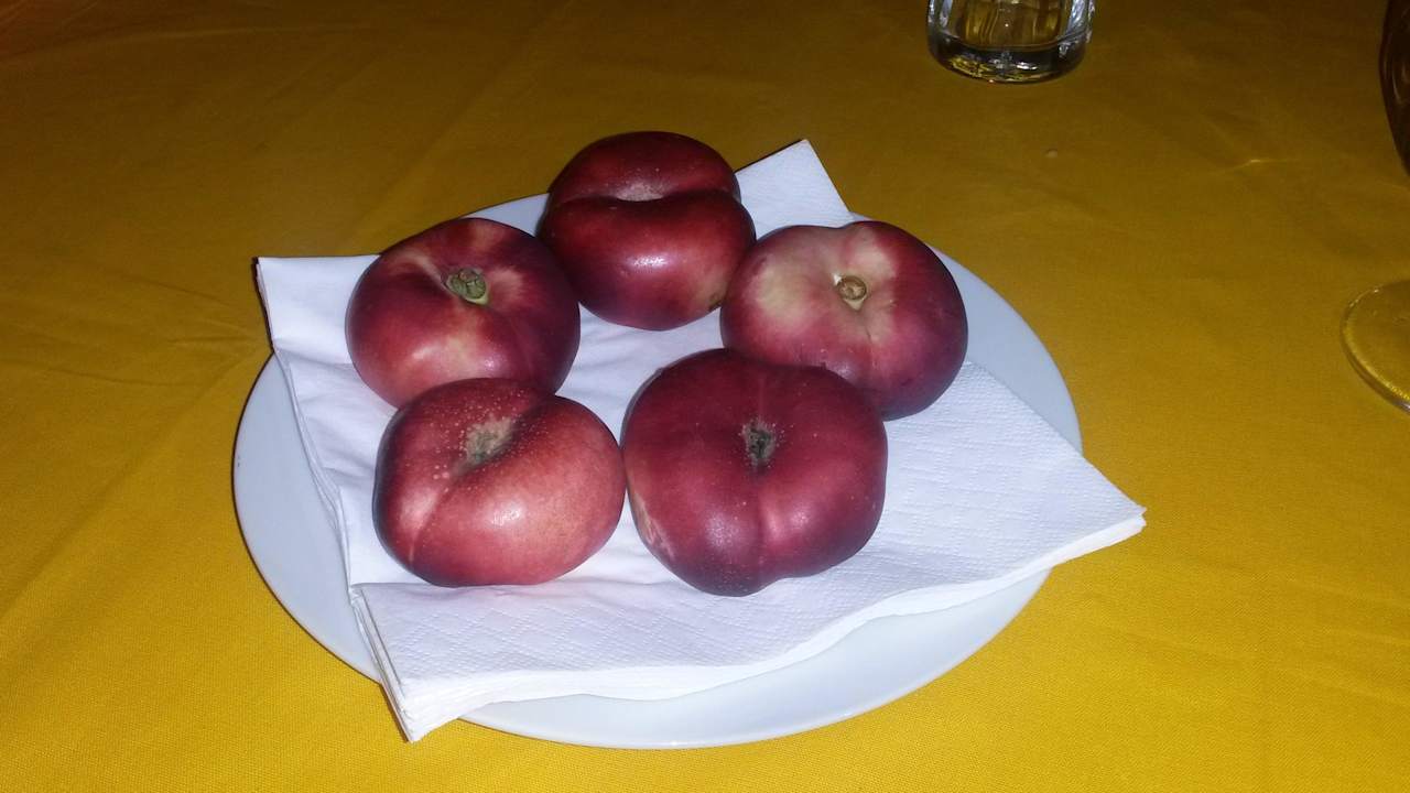 Dessert für 5 Personen das ist doch ein Witz Gasthof Bergheimat