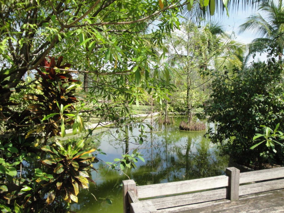 Blick auf den Froschteich The Andamania Beach Resort & Spa