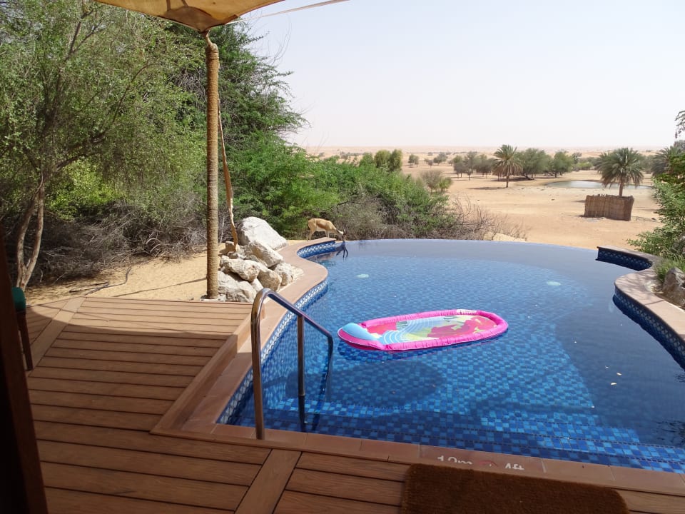 Pool Al Maha, A Luxury Collection Desert Resort & Spa