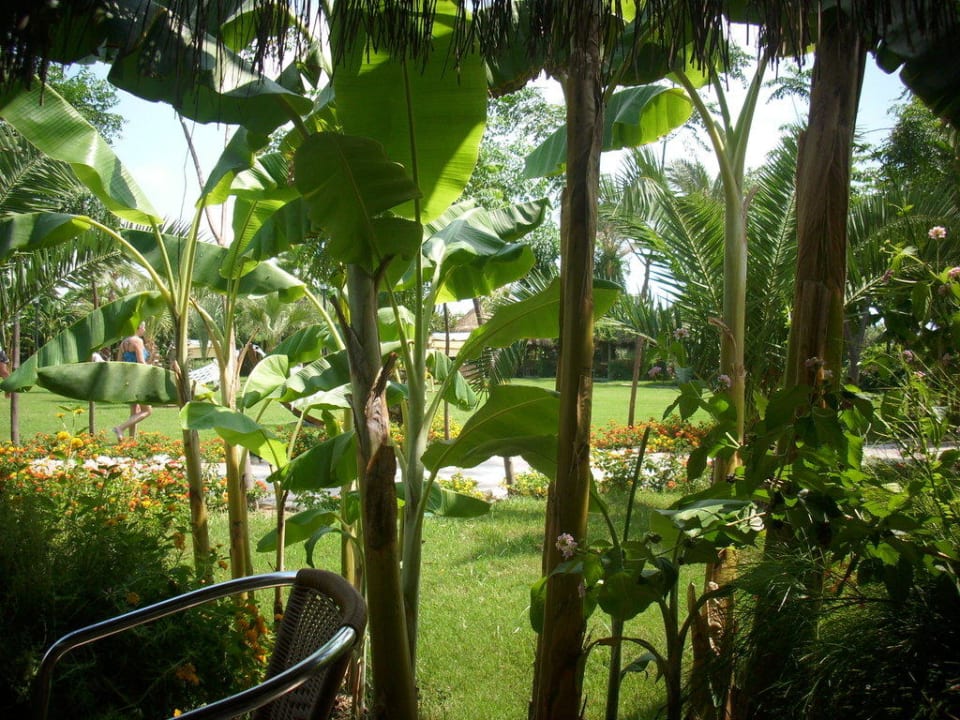 Strandrestaurant, Ausblick Belek Beach Resort Hotel