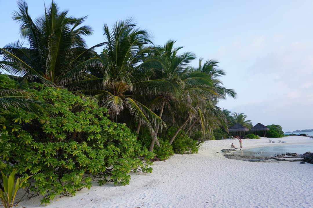 Strand Summer Island Maldives